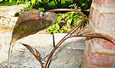 copper hosta water feature- by Gary Pickles of Metallic Garden