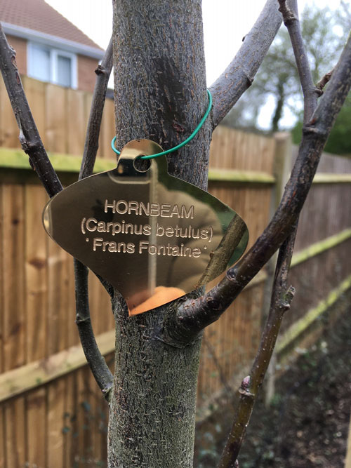 engraved brass tree label from Metallic Garden