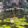copper fig leaf fountain- by Gary Pickles of Metallic Garden