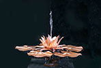 copper water lily fountain