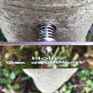 Stainless steel sprung fixings to allow tree growth