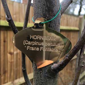 Curved leaf solid brass plant label engraved by Metallic Garden 