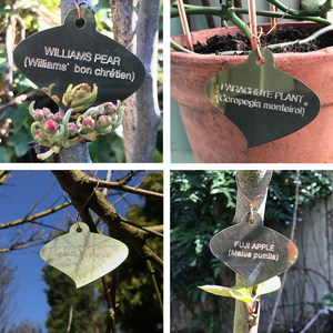 Curved leaf solid brass plant labels by Metallic Garden 