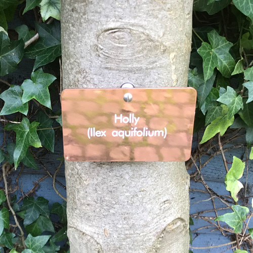 Copper Tree Tag by Metallic Garden